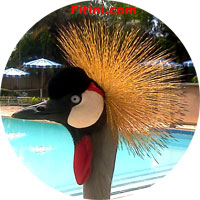 Sponsor - Patrocinador: Fitini.com